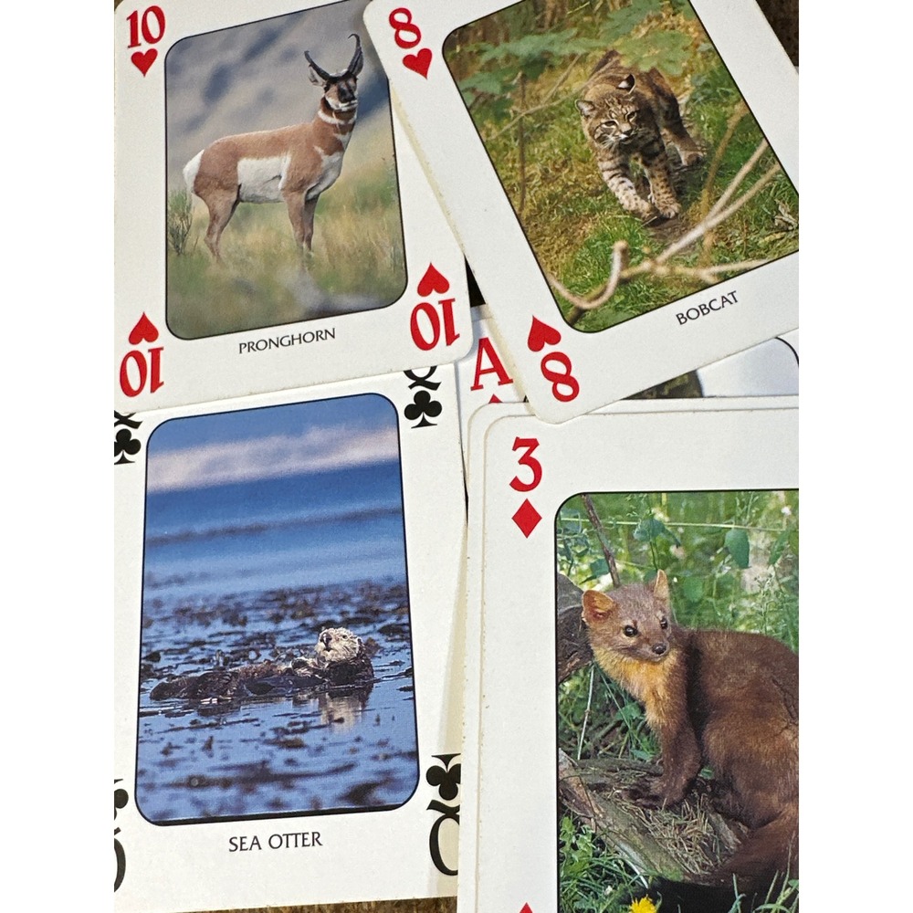 Discover American Wildlife Playing Cards 52 Different Animal Images Poker Deck - Picture 6 of 6
